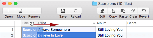 How to change columns' order in Amvidia Tag Editor for Mac