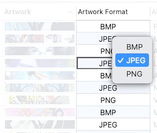 Editing Artwork Format in the Tag Editor for Mac