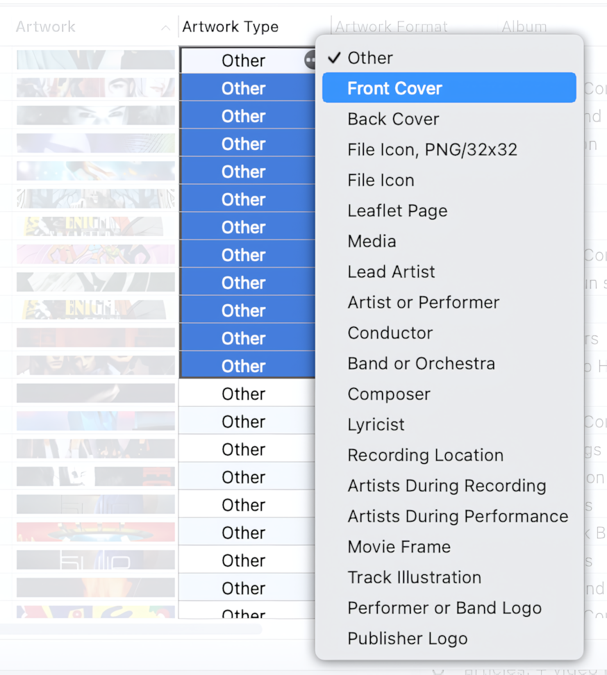 Editing Artwork Format in the Tag Editor for Mac