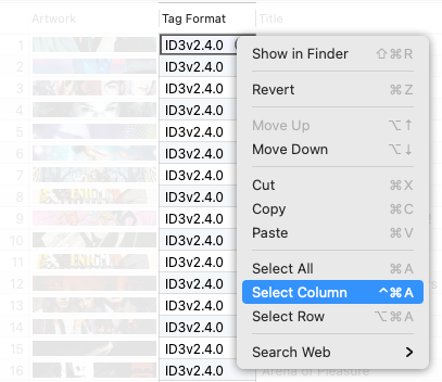 How to select Tag Format cells in the Tag Editor