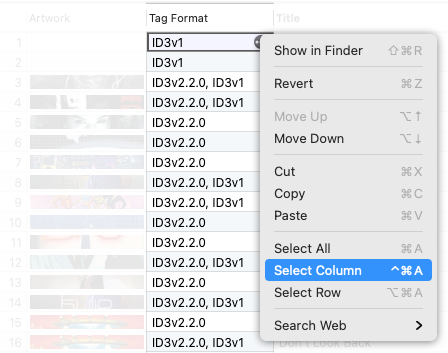 How to select Tag Format cells in the Tag Editor